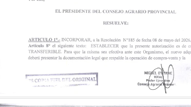 Imagen de la nota