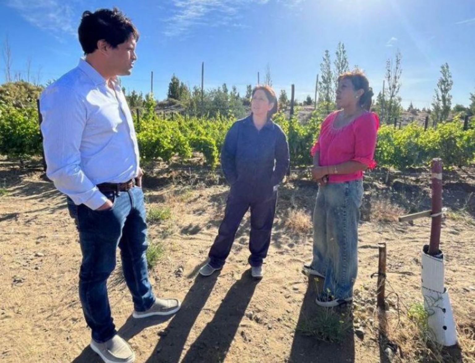 Actividad productiva en el viñedo de Punto Orgánico de Caleta Olivia