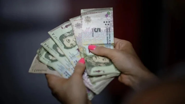Persona contando billetes argentinos